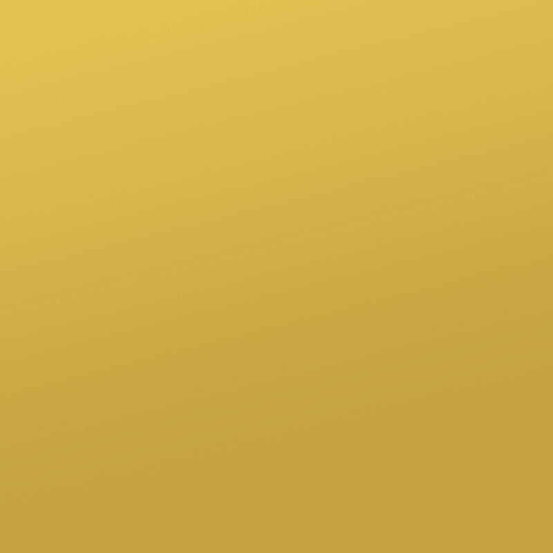 Elsa 2-door Accent Cabinet with Adjustable Shelves White and Gold