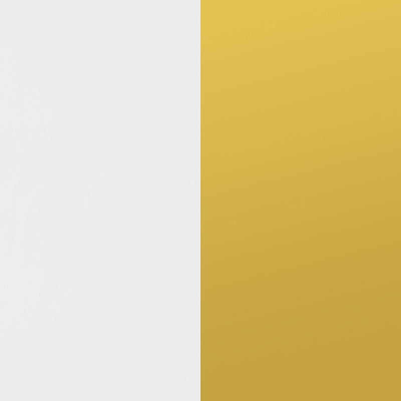 Elsa 2-door Accent Cabinet with Adjustable Shelves White and Gold