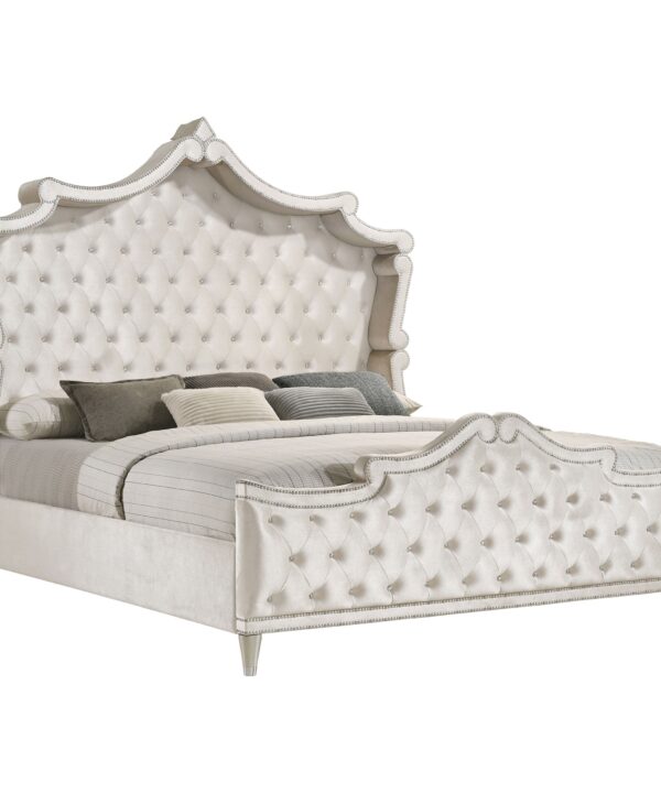 Antonella Panel Bed - Luxe Home Furnishings (Jersey City, NJ)