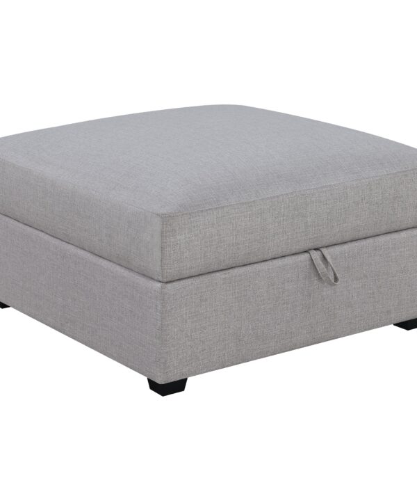 Cambria Storage Ottoman - Luxe Home Furnishings (Jersey City, NJ)