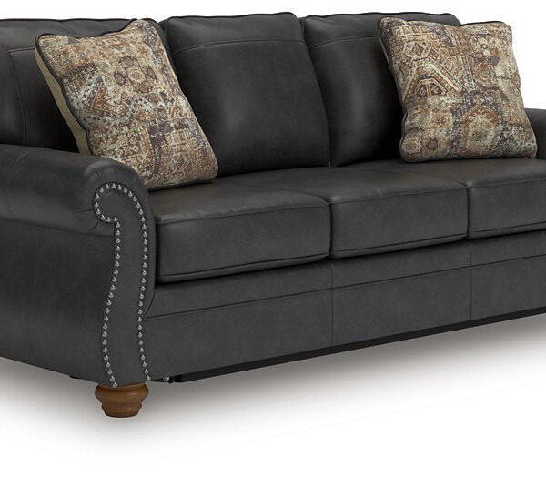 Chasemore Sofa Sleeper