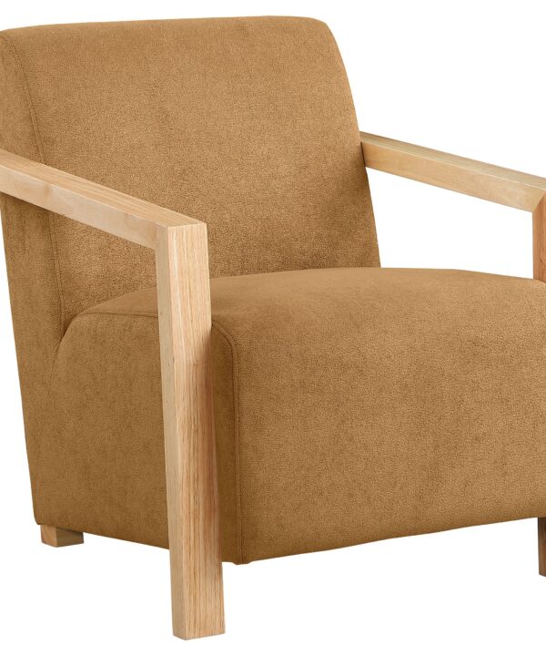 Diego Accent Chair - Luxe Home Furnishings (Jersey City, NJ)