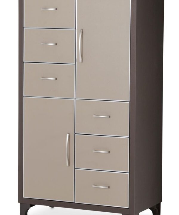 21 Cosmopolitan 6 Drawer Chest in Taupe/Umber - Luxe Home Furnishings (Jersey City, NJ)