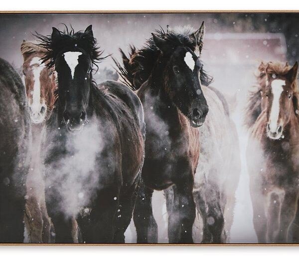 Chaseburn Wall Art