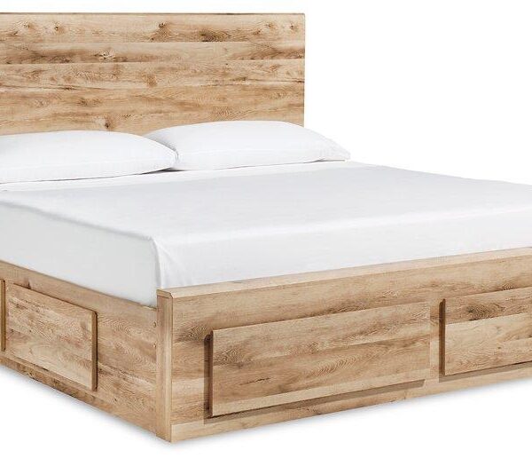 Hyanna Panel Storage Bed with 1 Under Bed Storage Drawer image