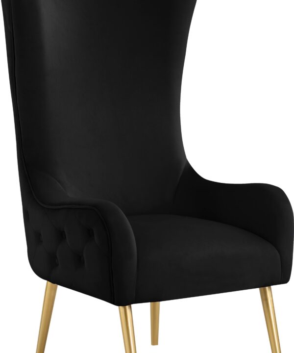 Alexander Black Velvet Accent Chair - Luxe Home Furnishings (Jersey City, NJ)