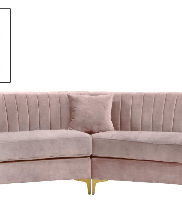 Jackson Pink Velvet 2pc. Sectional - Luxe Home Furnishings (Jersey City, NJ)