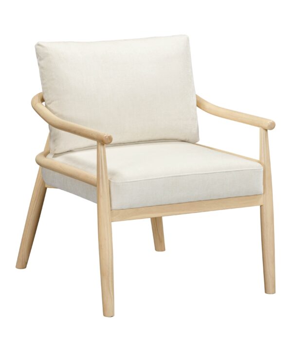 Dixie Performance Chenille Velvet Accent Chair - Luxe Home Furnishings (Jersey City, NJ)