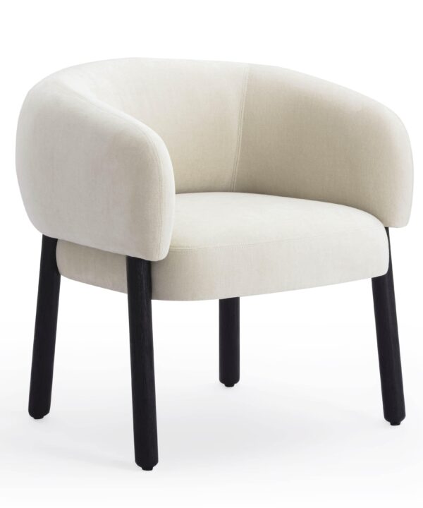 Foxy Cream Performance Basketweave Chenille Accent Chair - Luxe Home Furnishings (Jersey City, NJ)