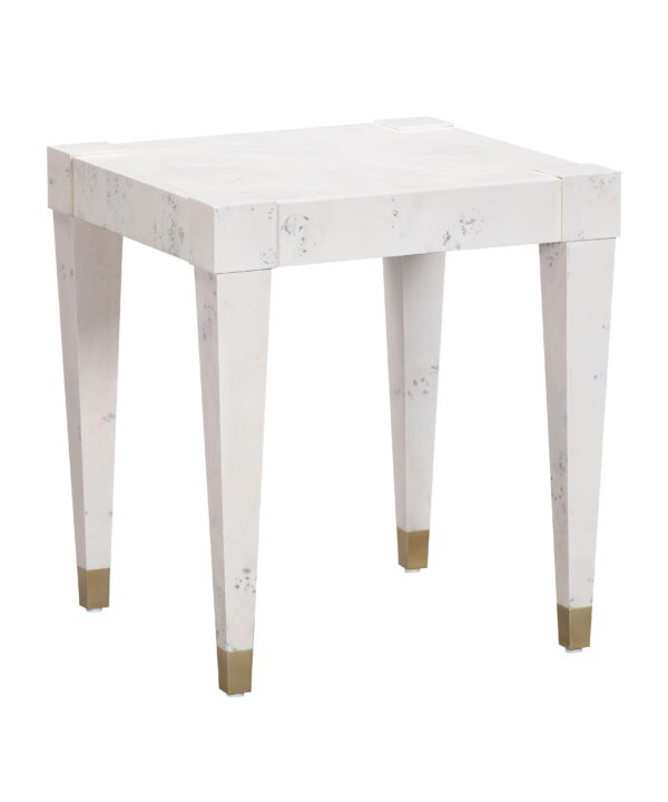 Brandyss Burl End Table - Luxe Home Furnishings (Jersey City, NJ)